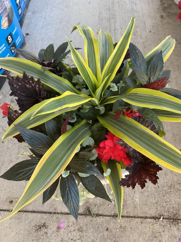 5-15-26 24.jpg