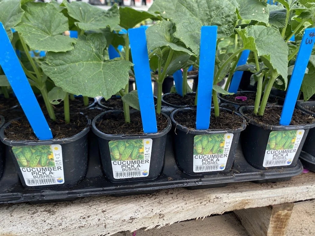  Veggies - $3 each or Mix-n-Match 10/$25 