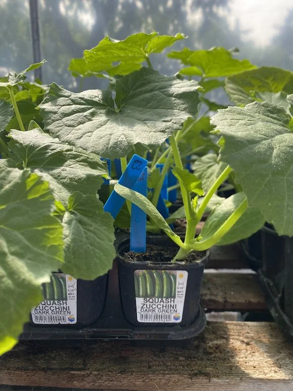  Veggies - $3 each or Mix-n-Match 10/$25 