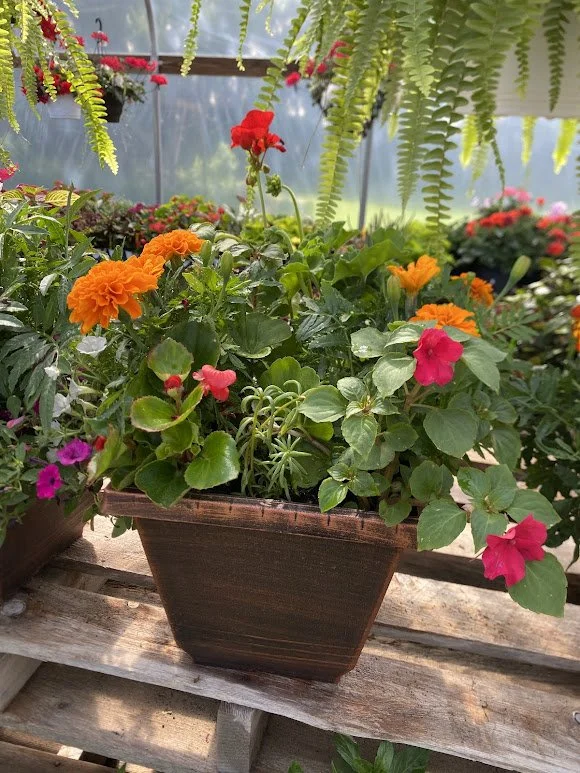  Memorial Planter - $20 