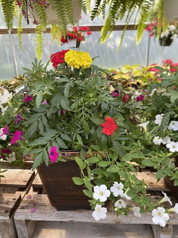  Memorial Planter - $20 
