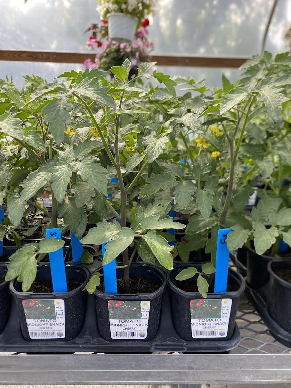  Veggies - $3 each or Mix-n-Match 10/$25 