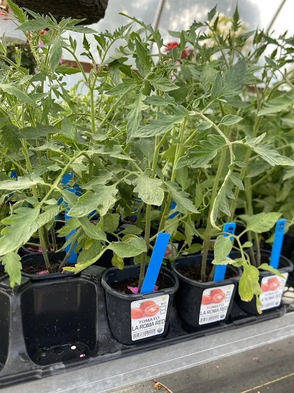  Veggies - $3 each or Mix-n-Match 10/$25 