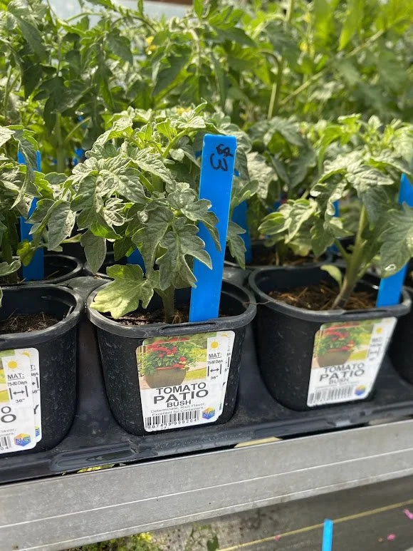  Veggies - $3 each or Mix-n-Match 10/$25 