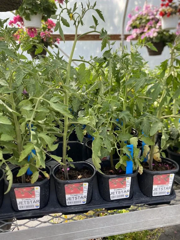 Veggies - $3 each or Mix-n-Match 10/$25 