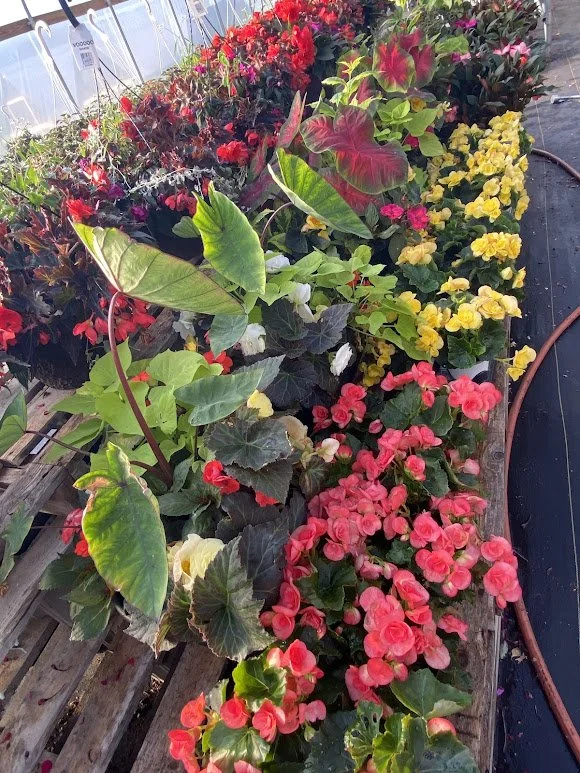 6-5-26 7.jpg