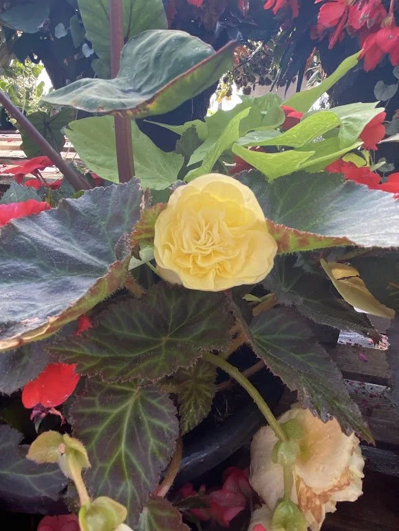 6-5-26 8.jpg