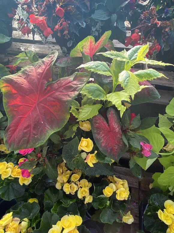 6-5-26 9.jpg