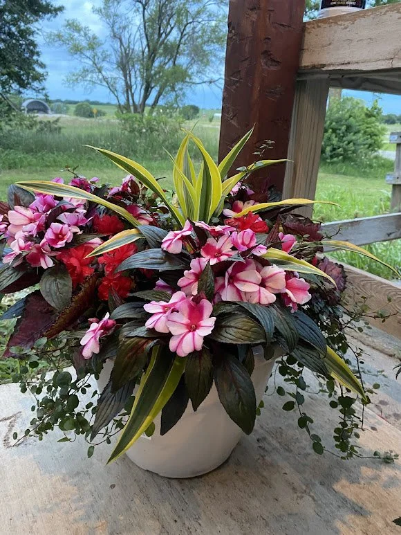  Extra Large Shade Combo Pot - $50   