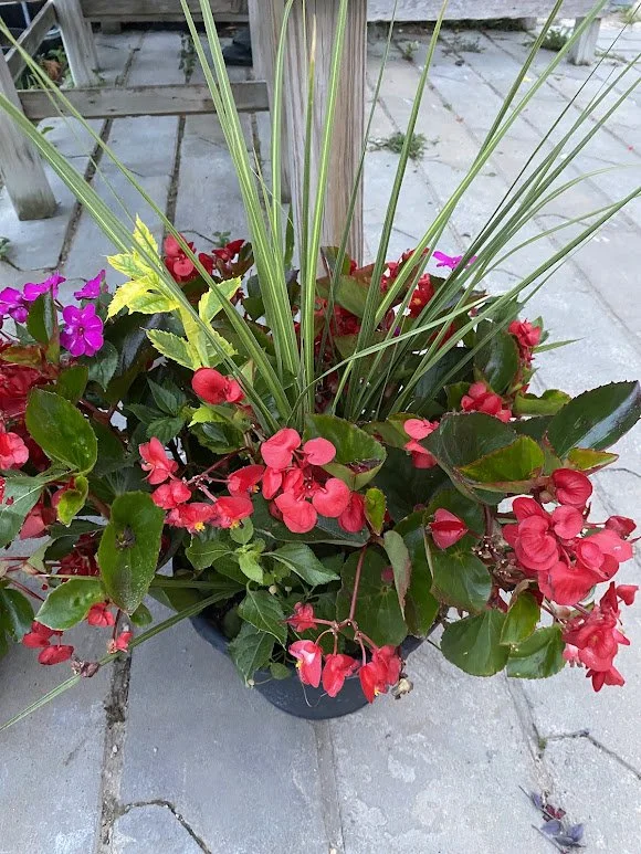  Large Sun Combo Pot - $30 