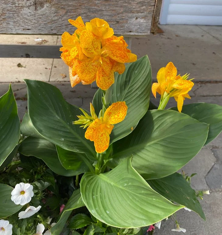 7-3-26 2.jpg