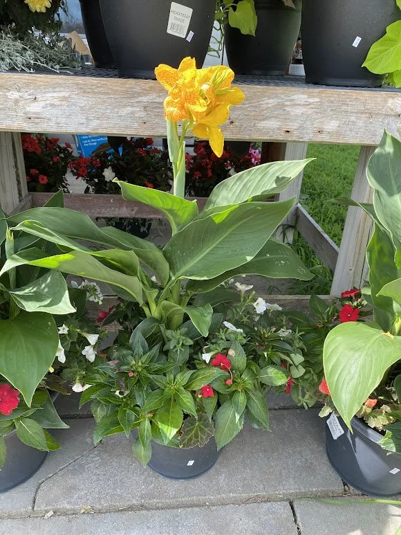 7-3-26 9.jpg