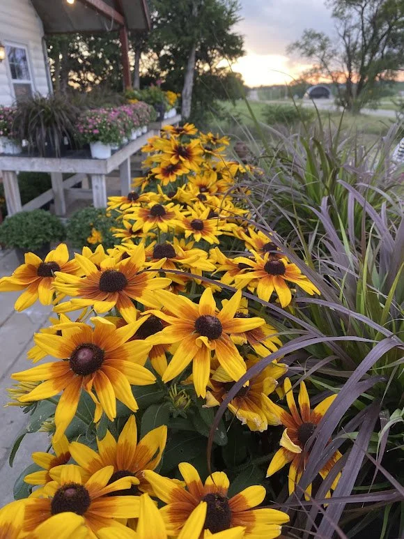 8-23-26 5.jpg
