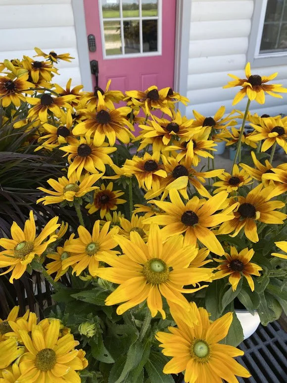 8-28-26 8.jpg
