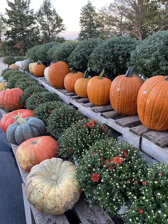 9-12-26 9.jpg