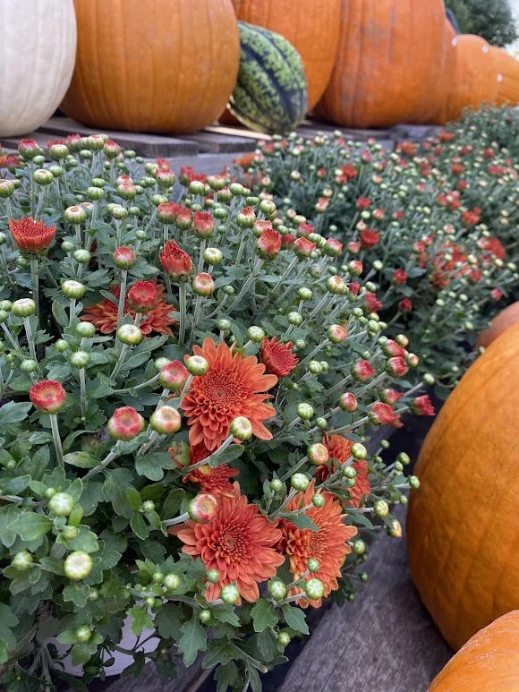 9-18-26 9.jpg