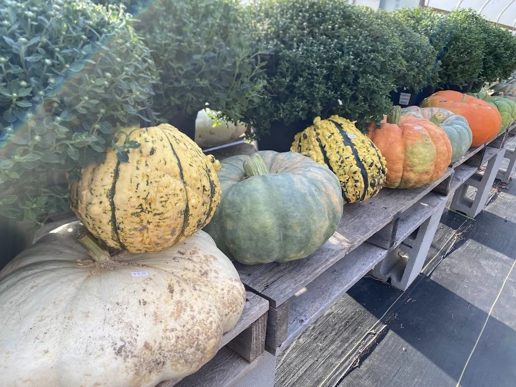 9-18-26 15.jpg