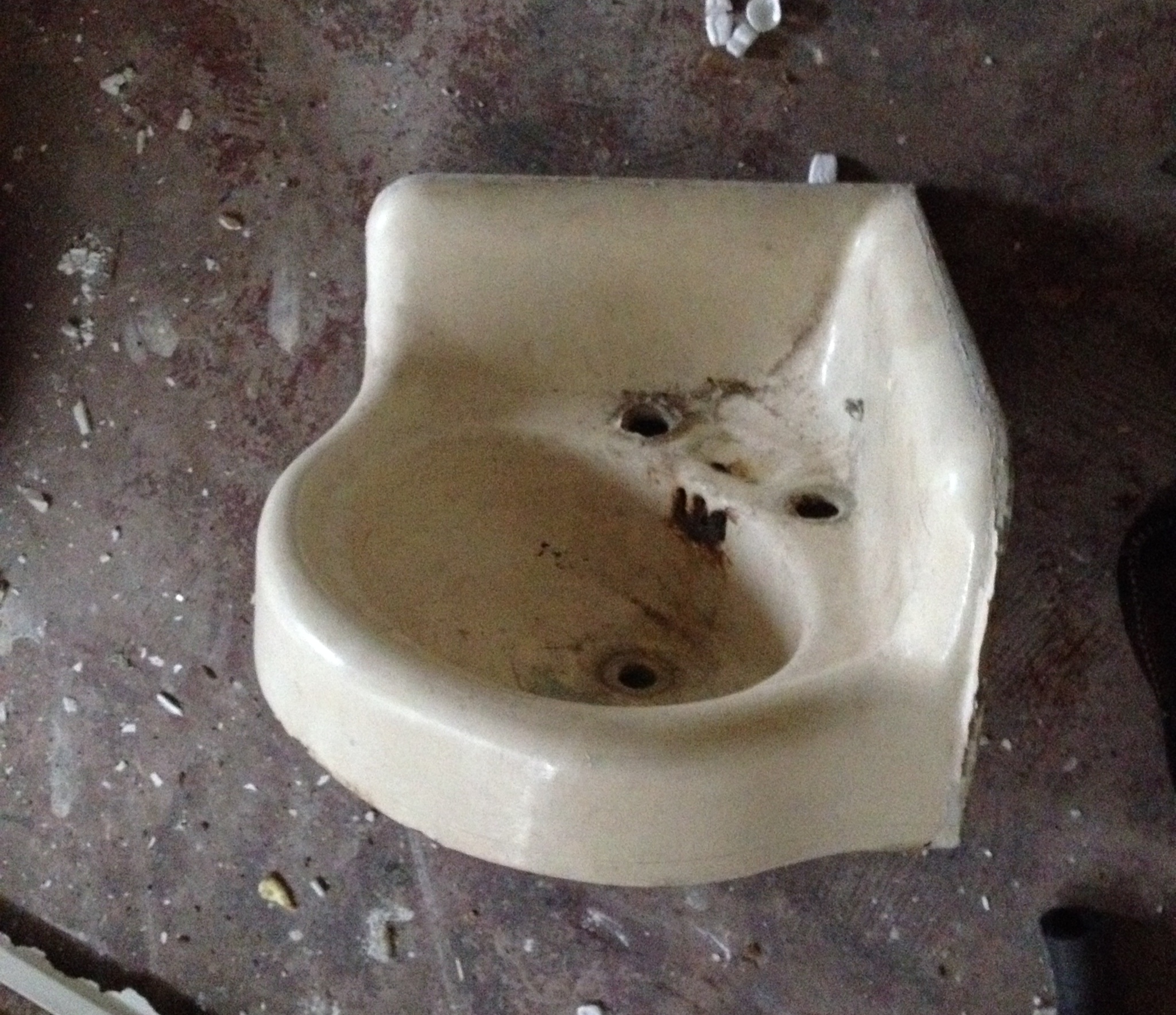 Old Sink