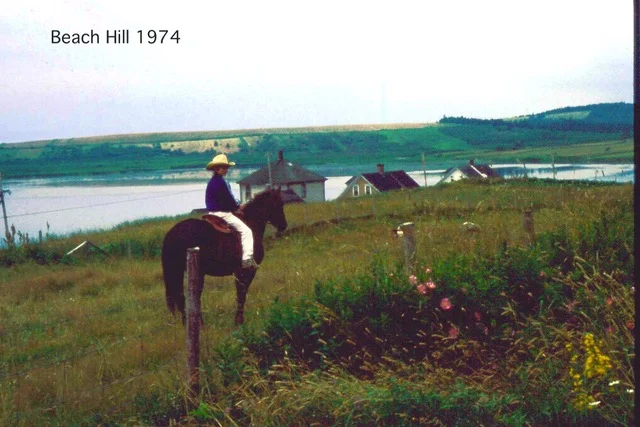 Kingsburg in 1974