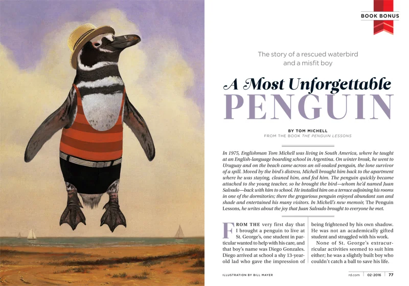 penguin bathing suit