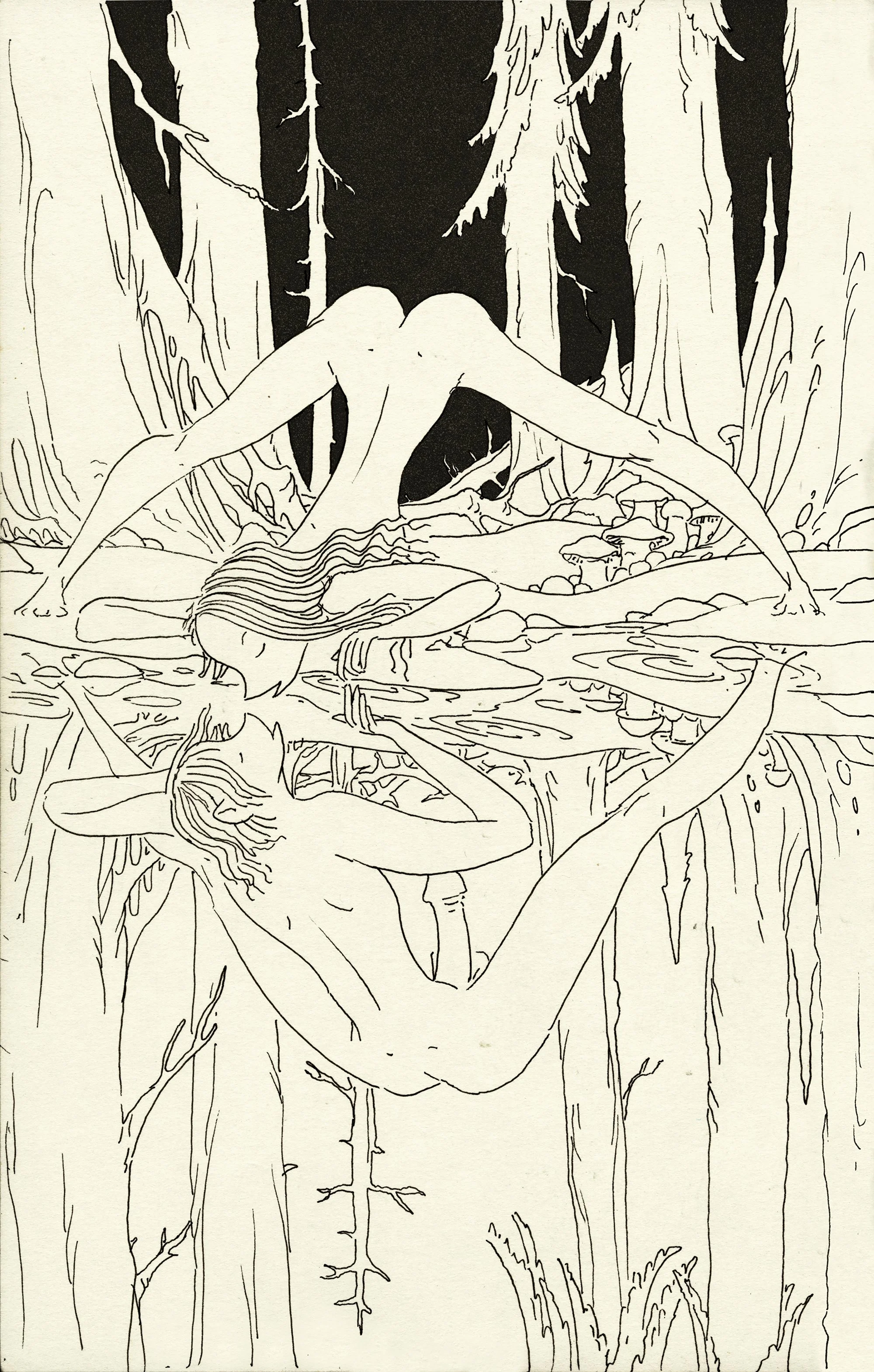 The Water Nymph