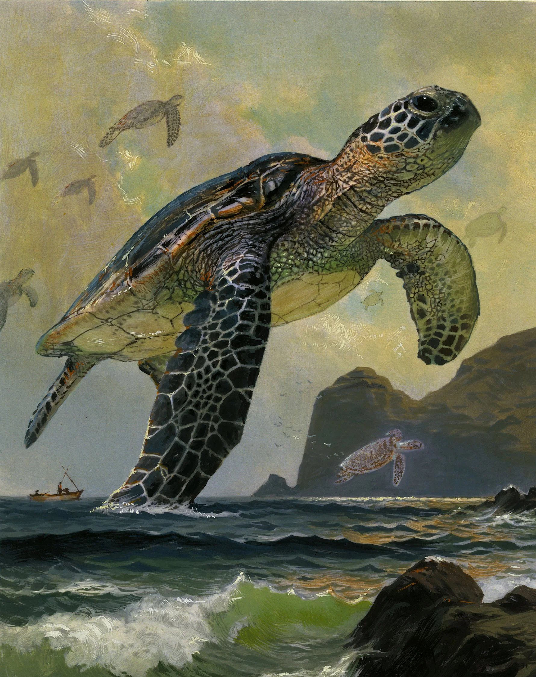 SeaTurtle.jpg