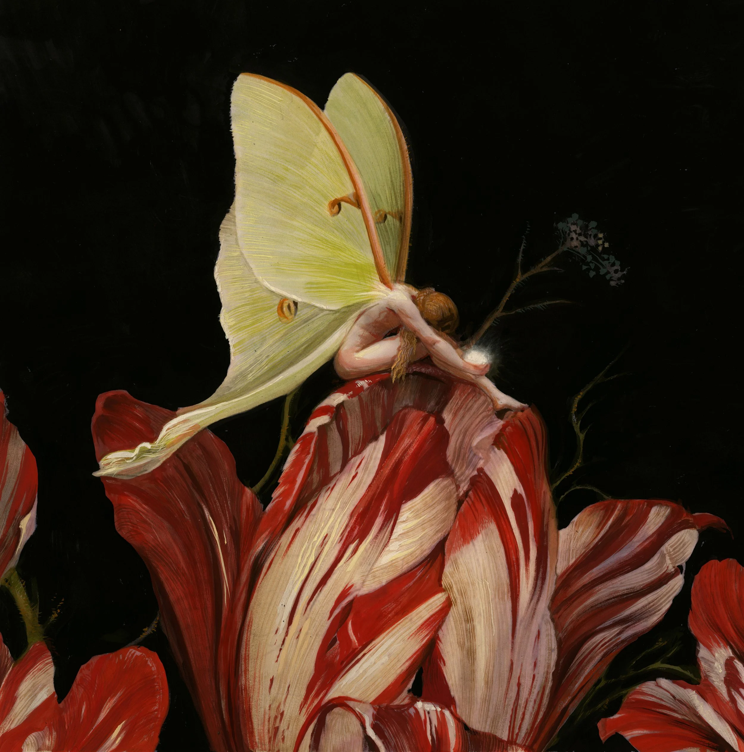 A Sleeping Faerie.jpg