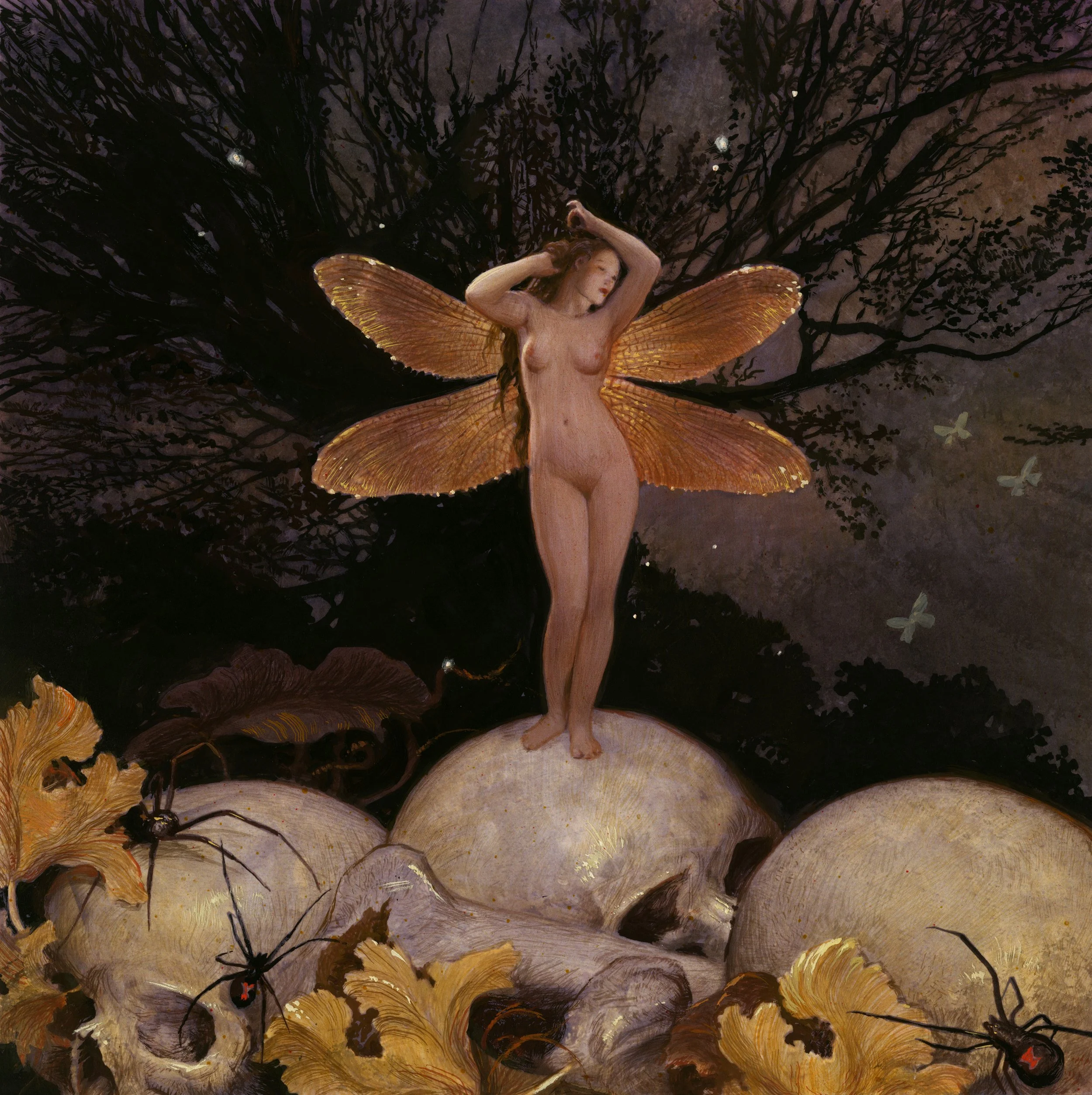DARK FAERIE #4 300X10.jpg