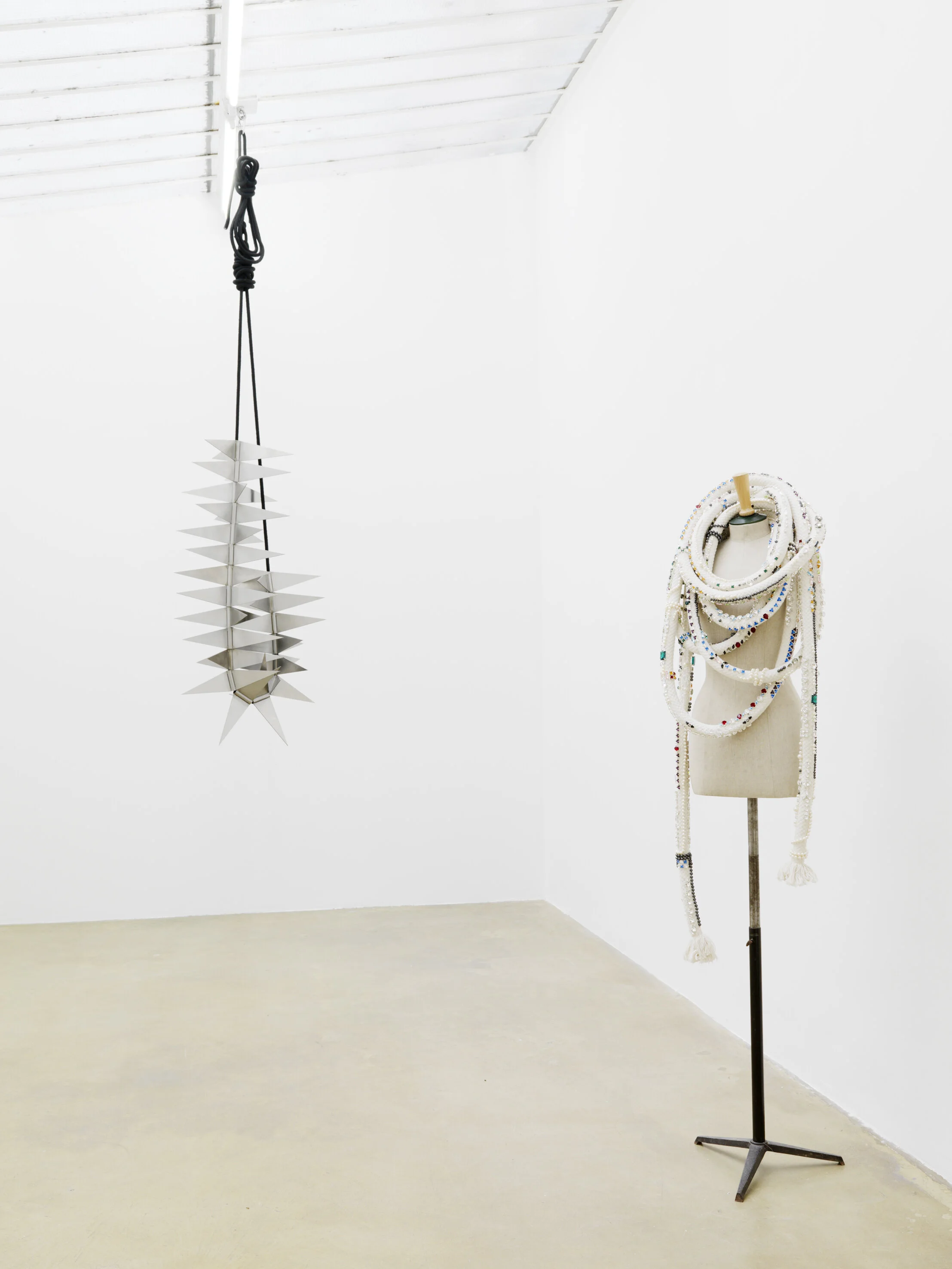   Bijoux de famille , exhibition view (Fabrice Gygi, Ligia Dias), Galerie Chantal Crousel Paris. Photo Florian Kleinefenn 