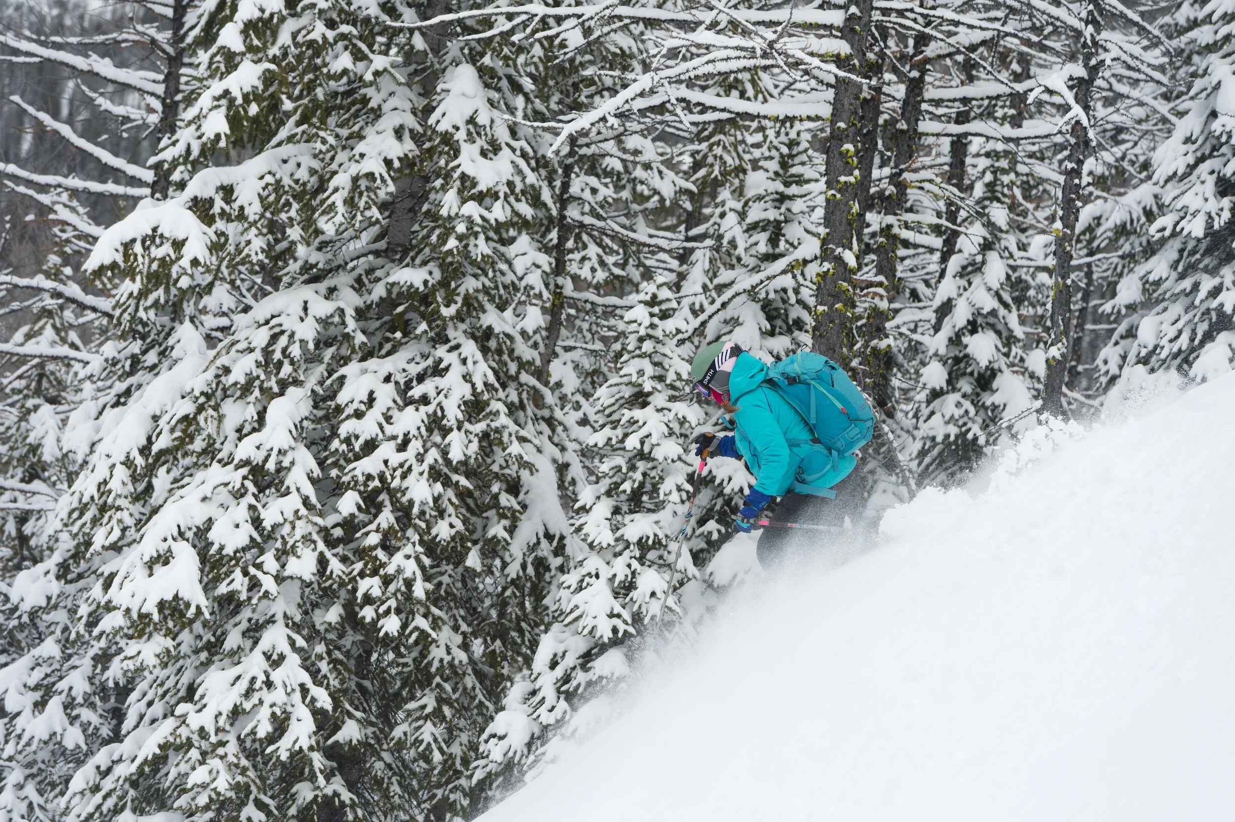 Ski the trees when it's stormy