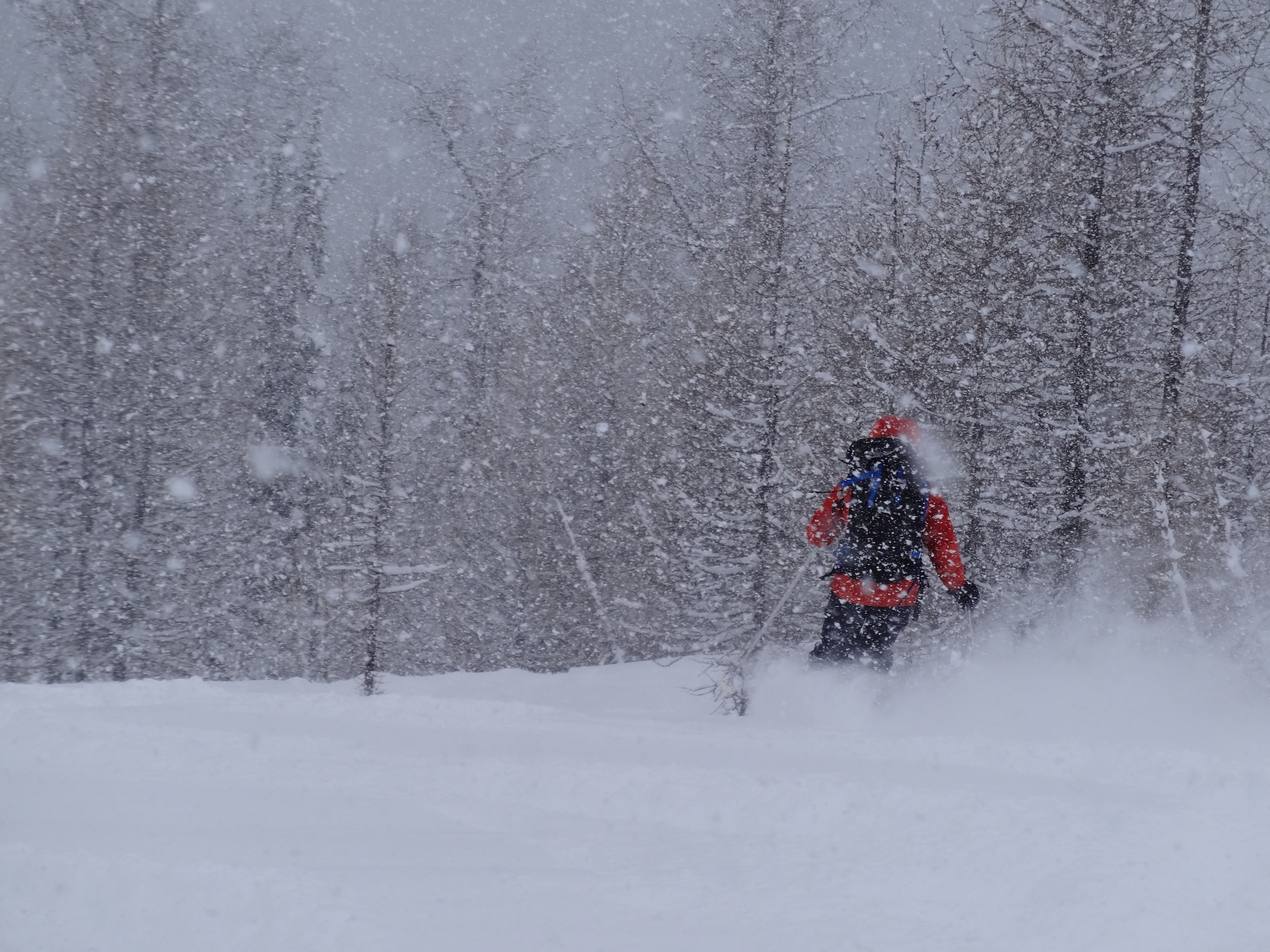 Storm ski.jpg