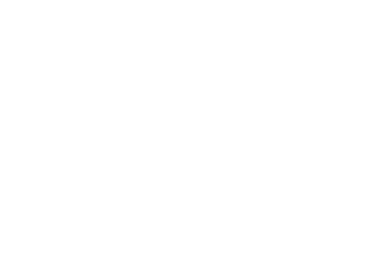 cne.png