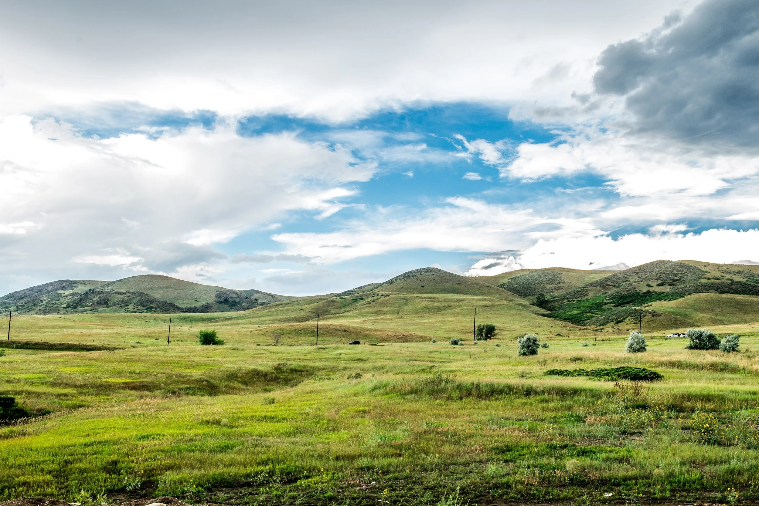 A word about discount brokers