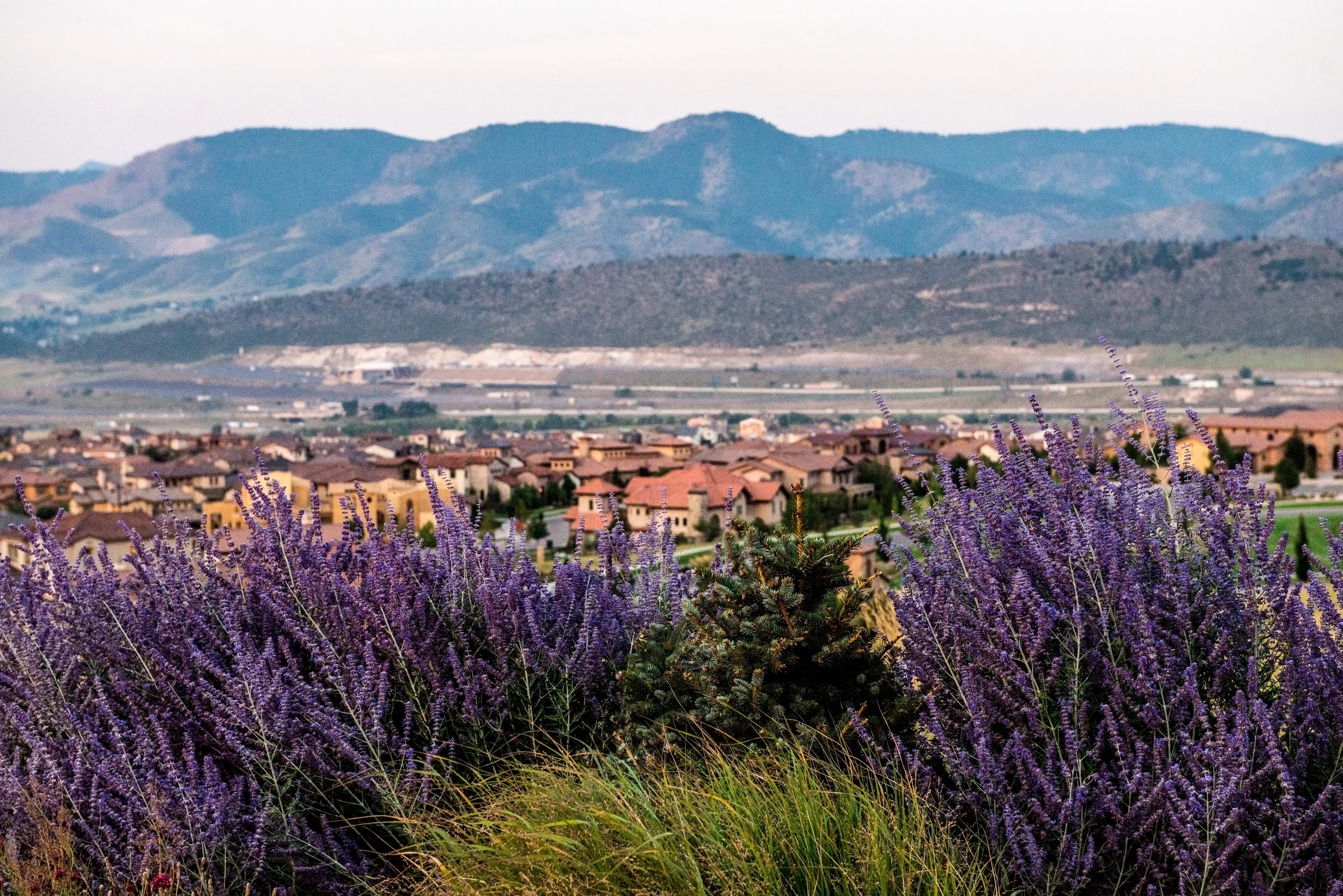 Home sales are strong in Solterra, the Lakewood foothills community west of Denver