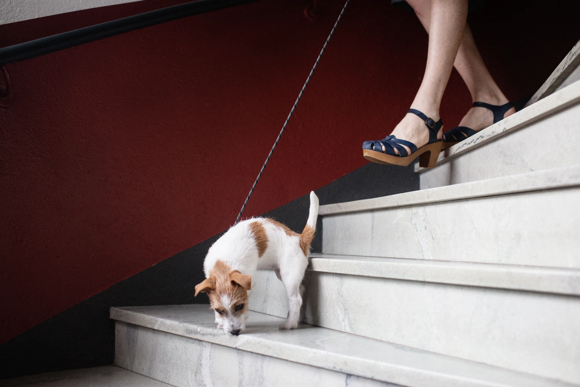 brandochbrindle_fridaanna_bröllop_kolonilotten_DSC_5809.jpg