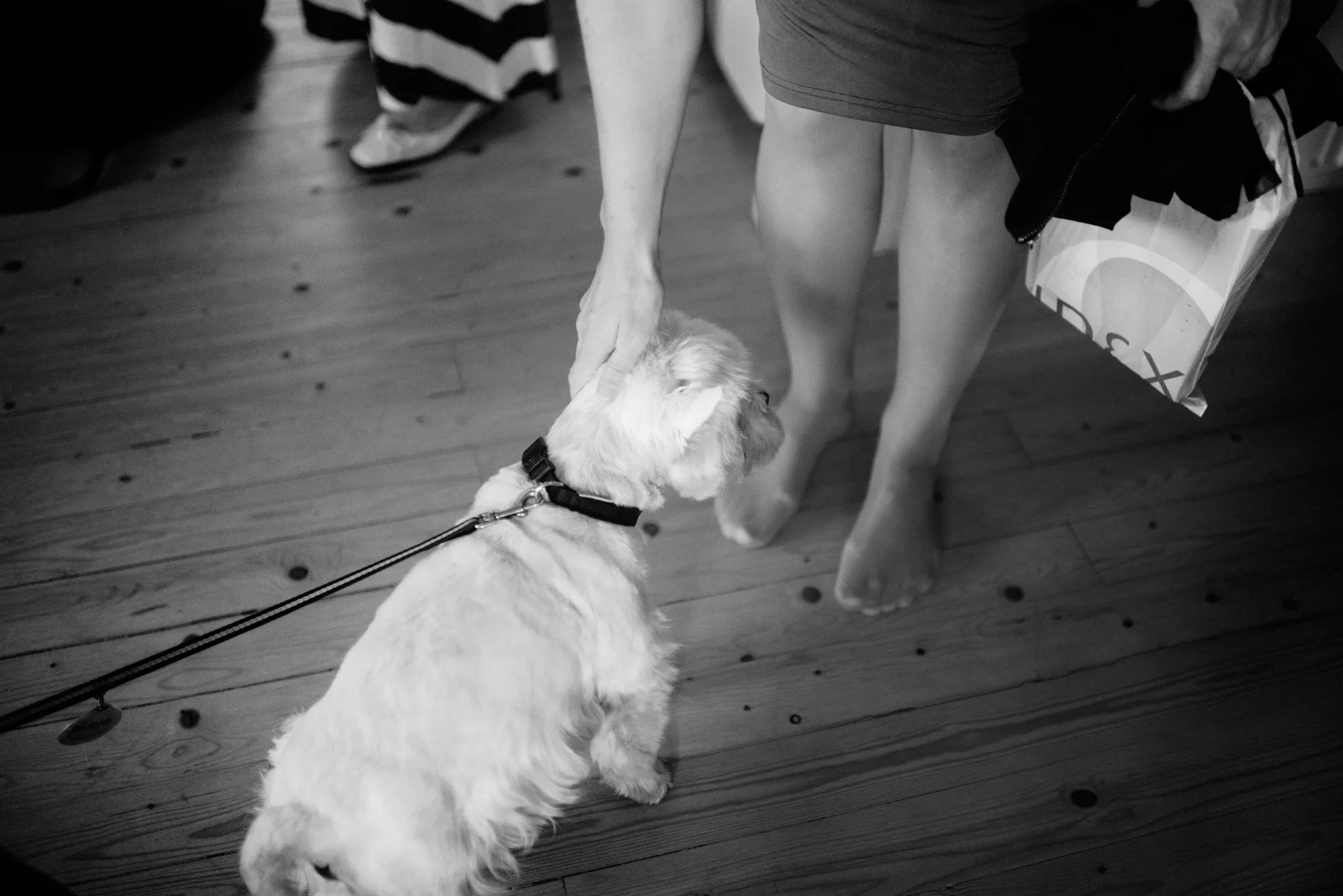 brandochbrindle_anineoscar_bröllop_finnhamn_DSC_8679.jpg