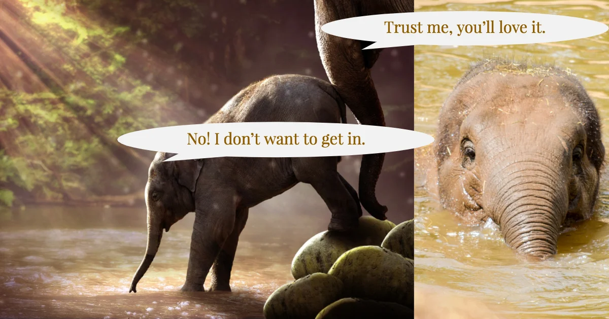 ALR Graphic.jpg