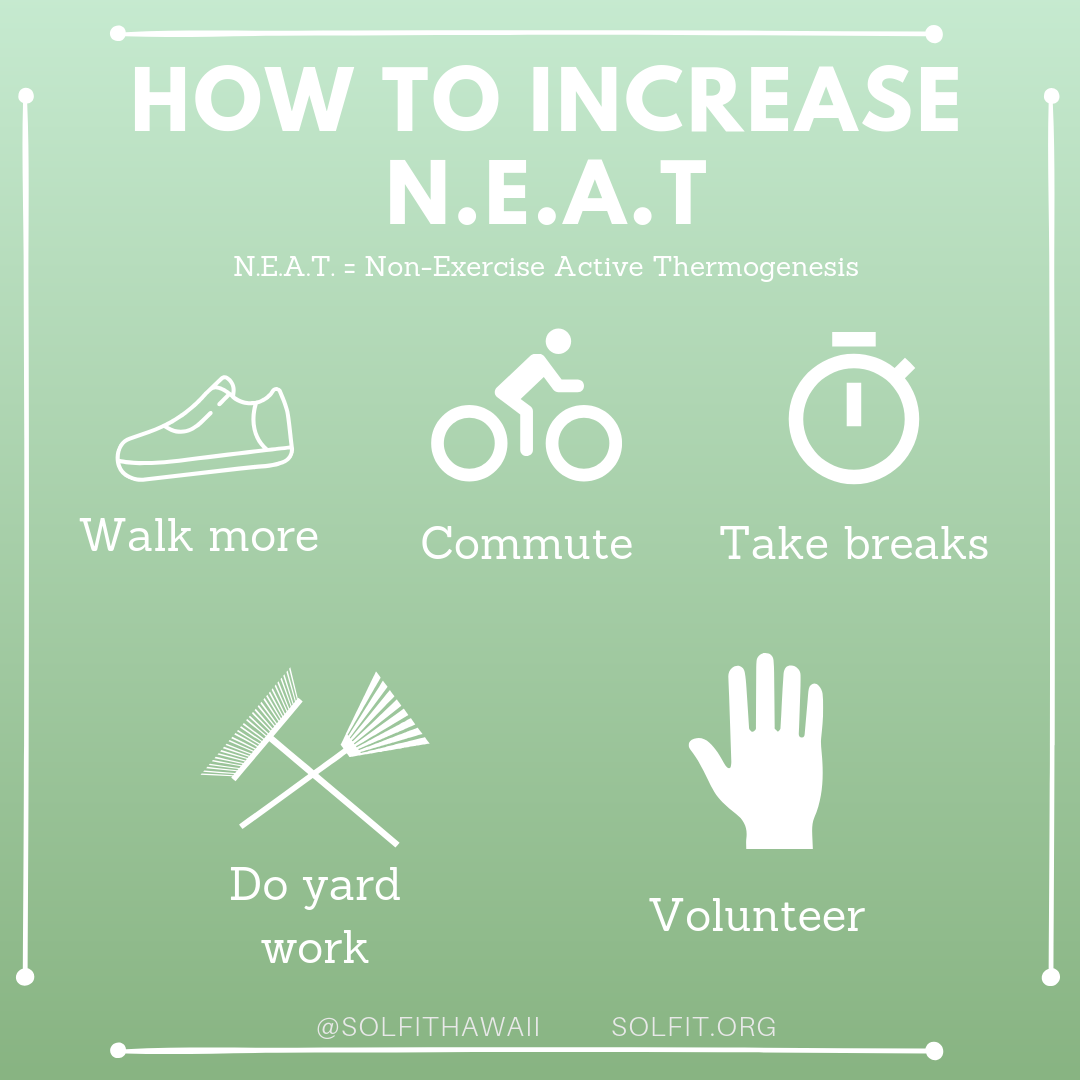 Increase NEAT.png