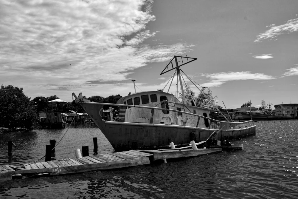 Roatan 11/17