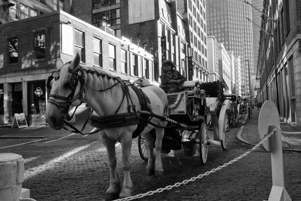 Boston Carrage