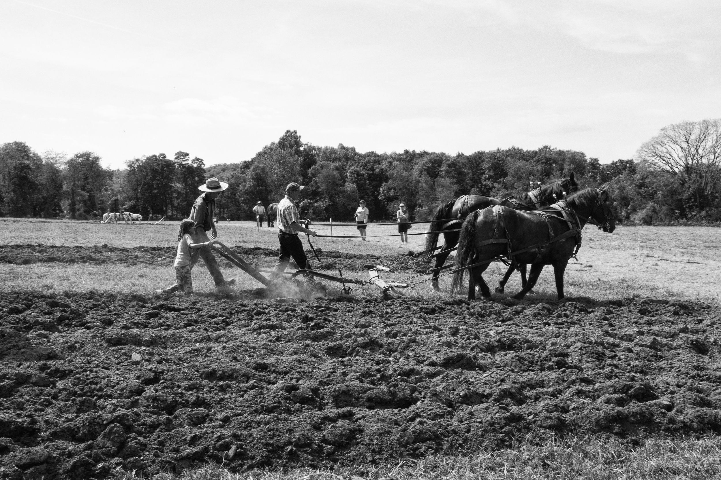   Plowing the fields 2  