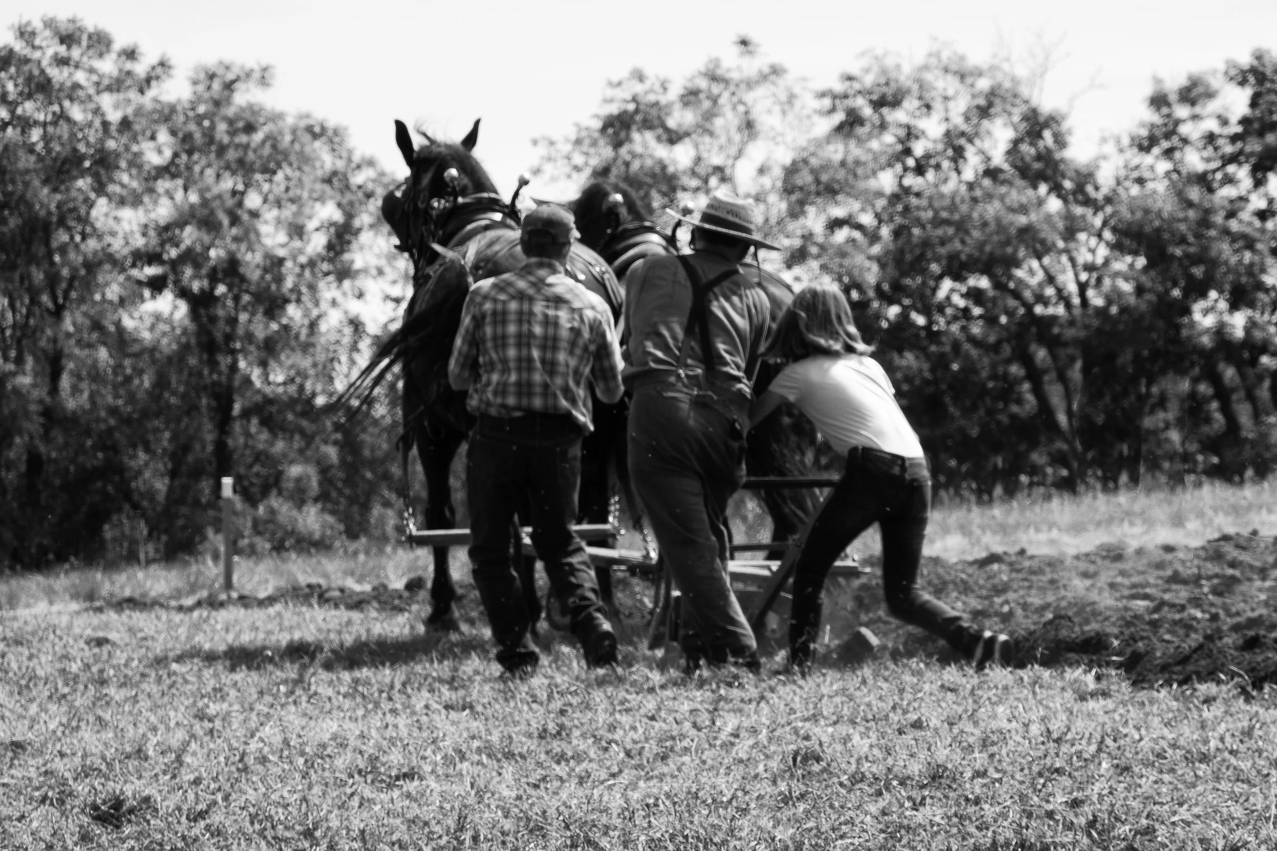 Plowing the fields 3