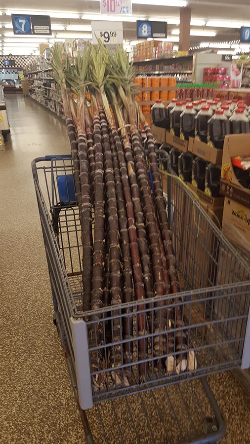 AsianSupermarket_001_Nieh.jpg