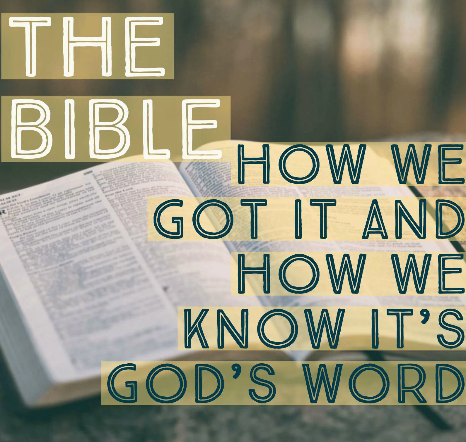 The Bible Logo.jpg