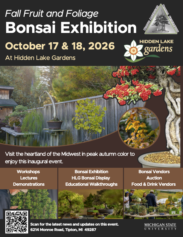 Bonsai Exhibition Fall Fruit and Foliage
