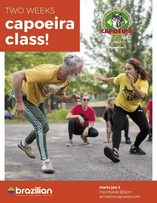 2022 Capoeira adult intro course .jpg