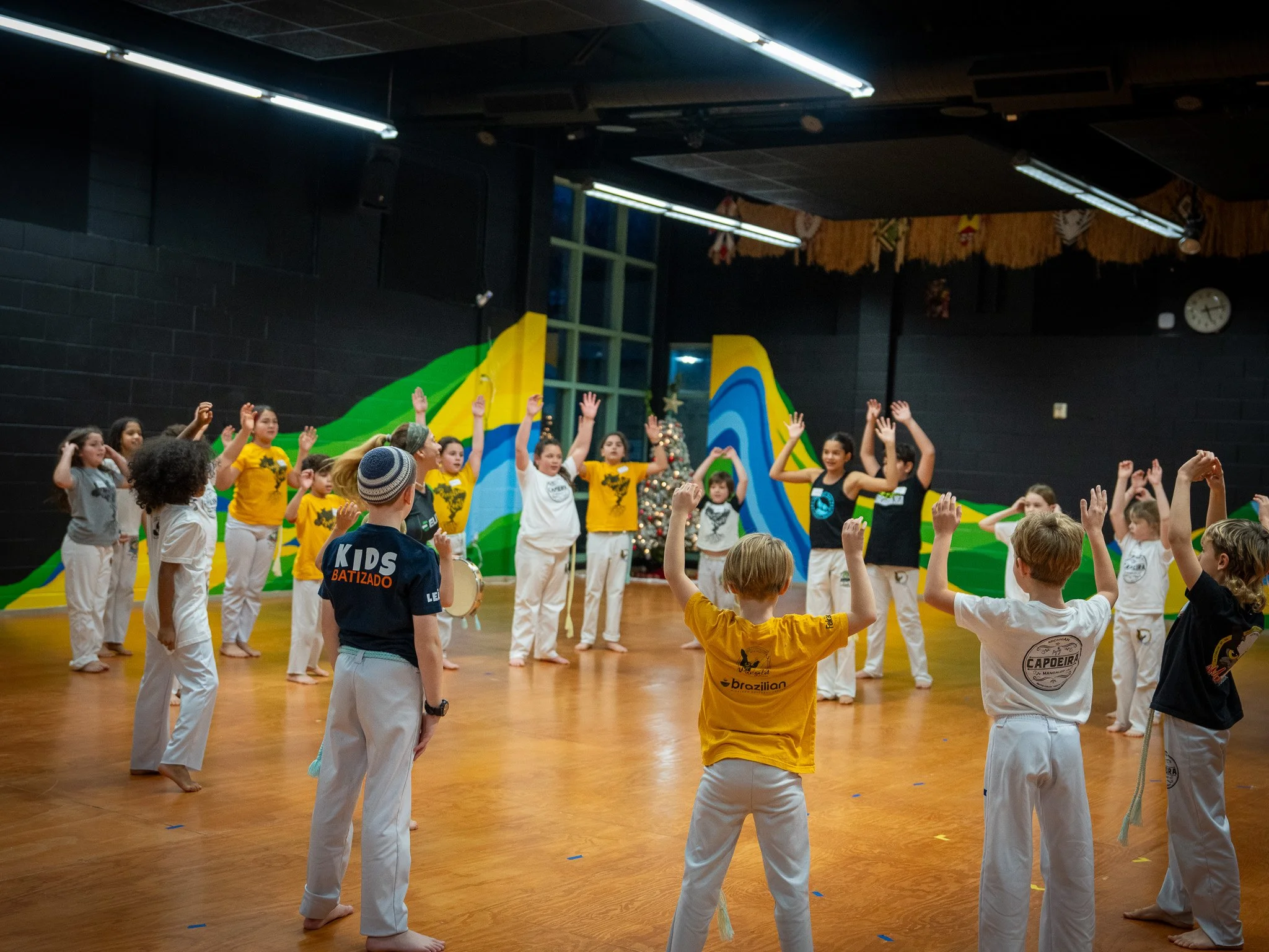 kids capoeira class in michigan