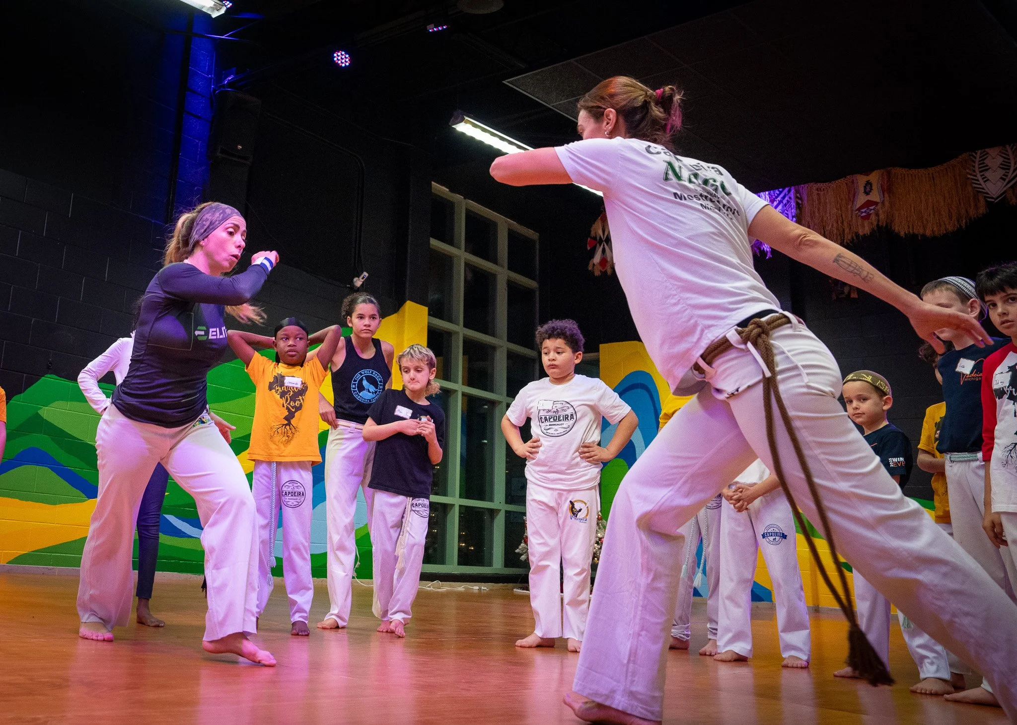 capoeira in michigan 2026