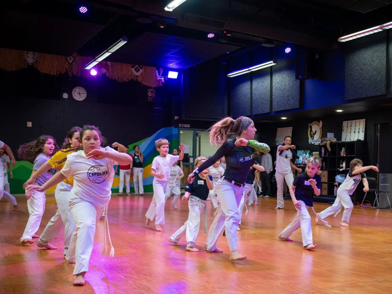 Michigan capoeira in ypsilant
