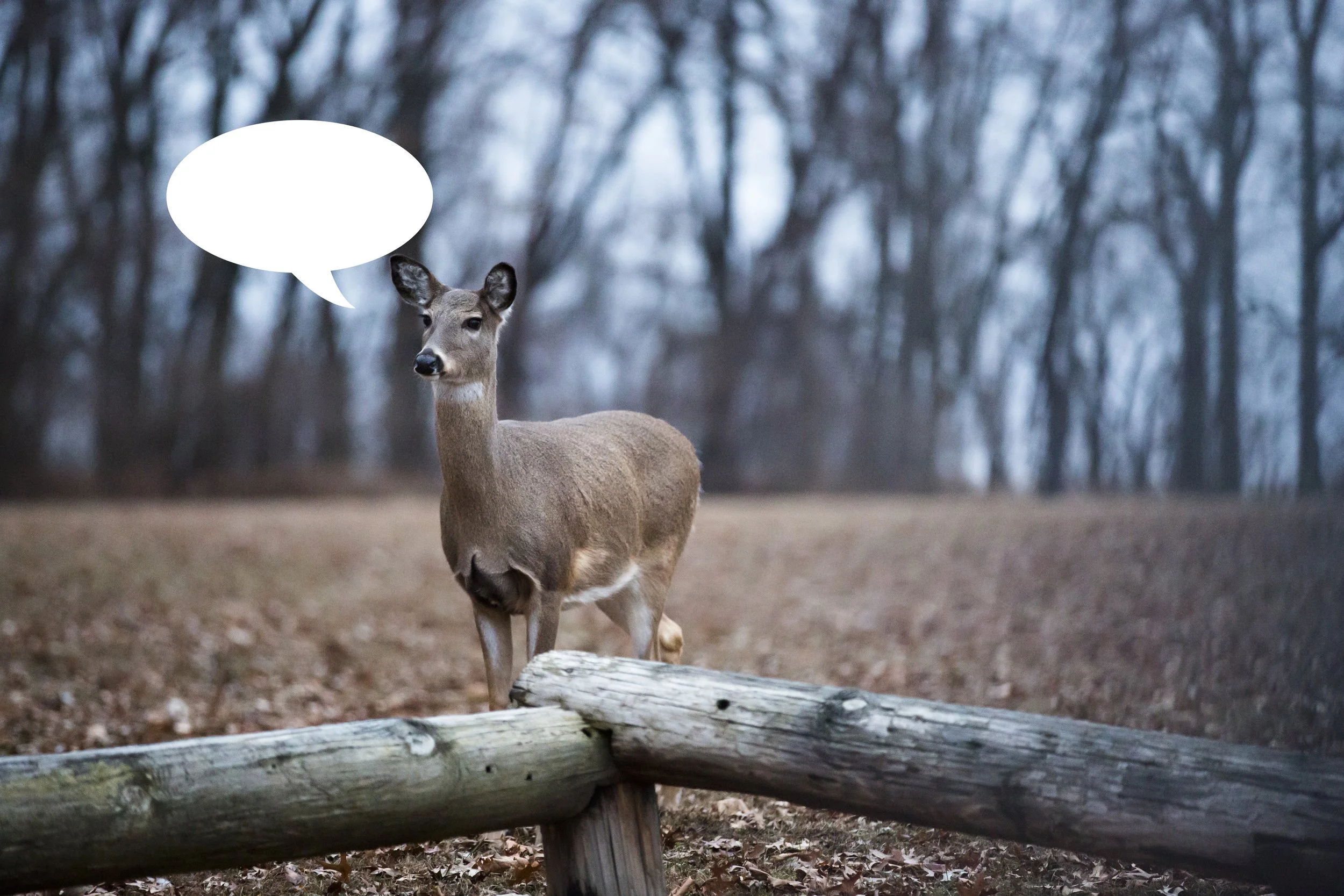 20150512 ABSTRACT PORTFOLIO 4.jpg